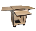 DWI Enterprises - IS-10